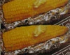 Grilled corn in foil