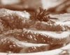 Microwave turkey with cider and mushrooms